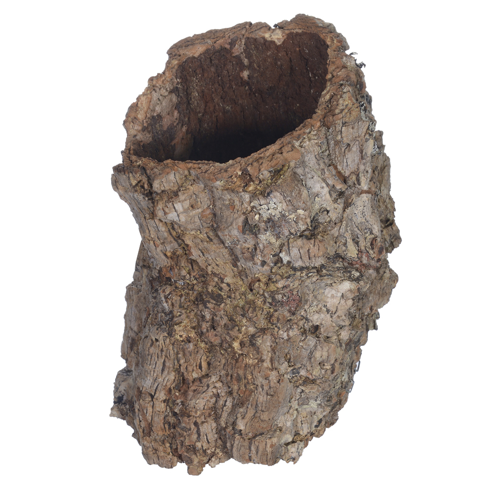 CASCA OCA DESIDRATADA (NATURAL) 12CM