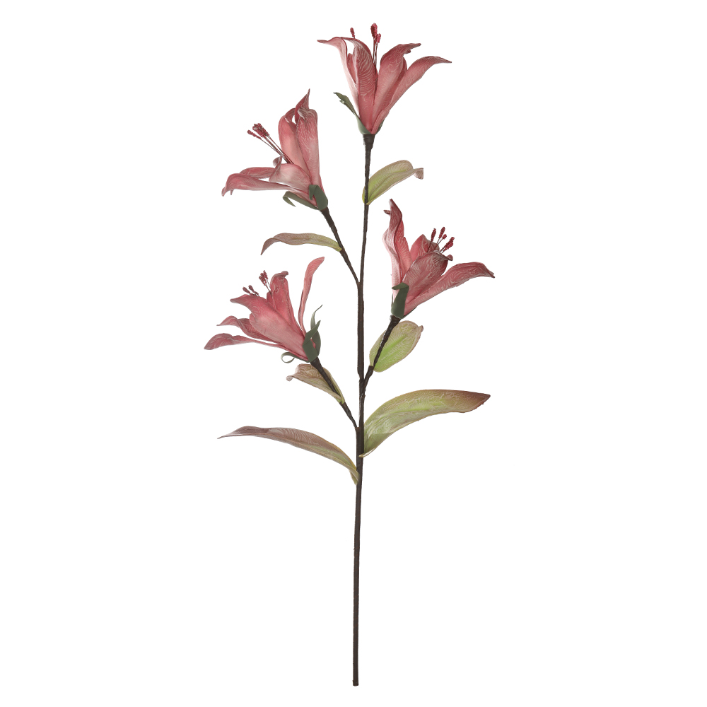 H.LIRIO EVA X4 (ROSA) 97cm