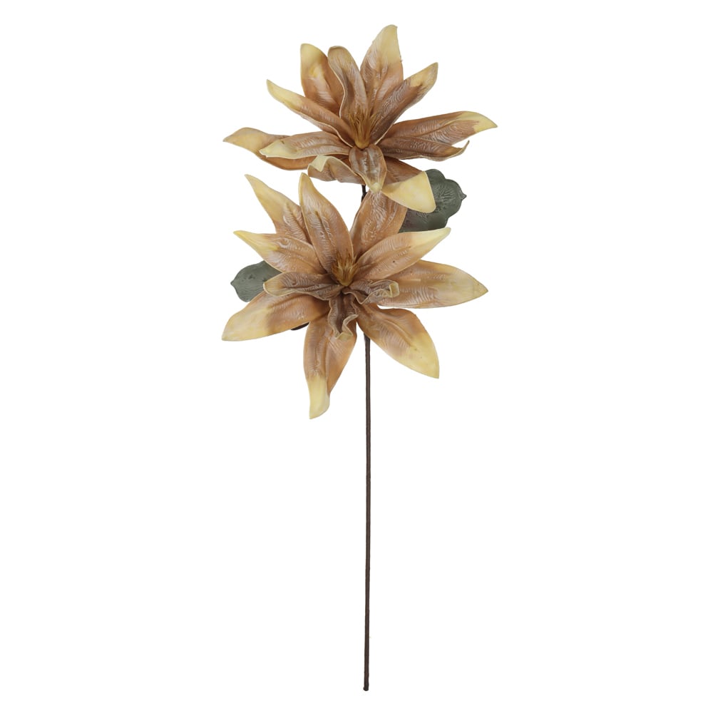 H.FLOR EVA X2 (CREME) 1,03m