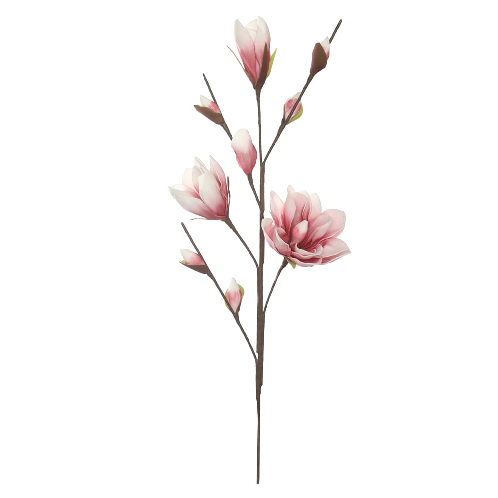 H.MAGNOLIA EVA X8 (CREME ROSA) 87cm