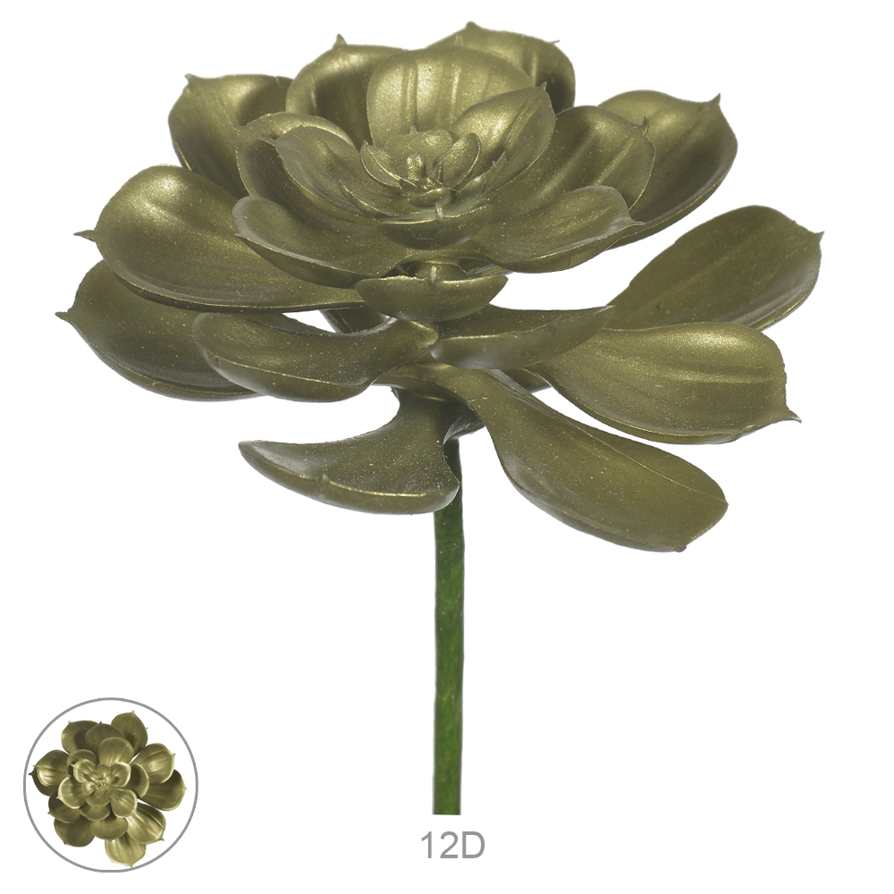 F.SUCULENTA (DOURADO) 11cm
