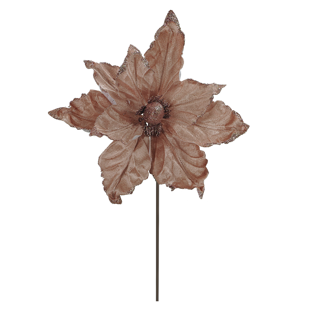 H.MAGNOLIA NATAL AVELUDADO (ROSE GLITTER ROSE) 20cm