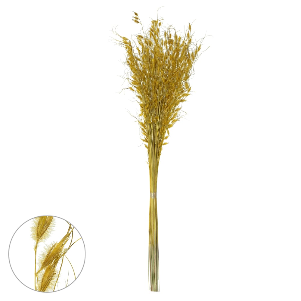 CAPIM BRINCO DESIDRATADO (AMARELO DOURADO) 80CM