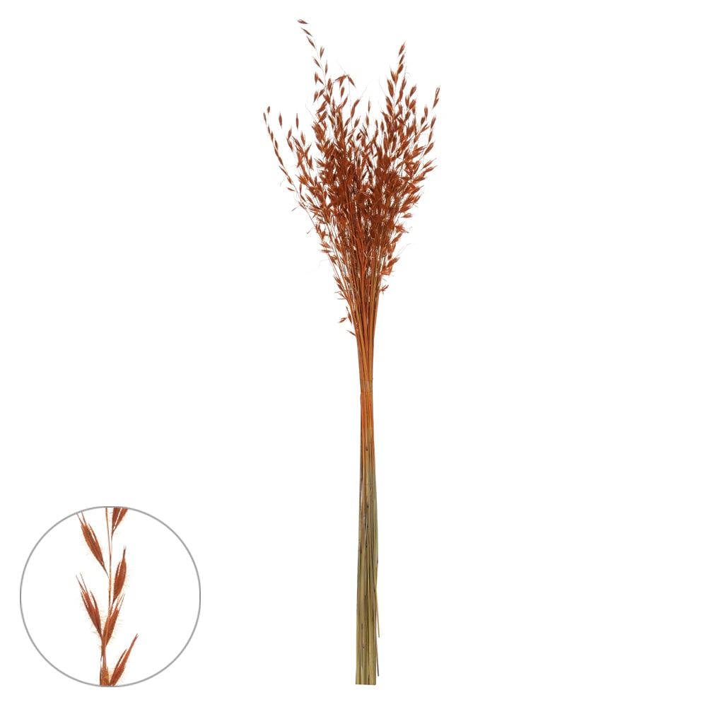 CAPIM BRINCO DESIDRATADO (LARANJA OUTONADO) 80CM