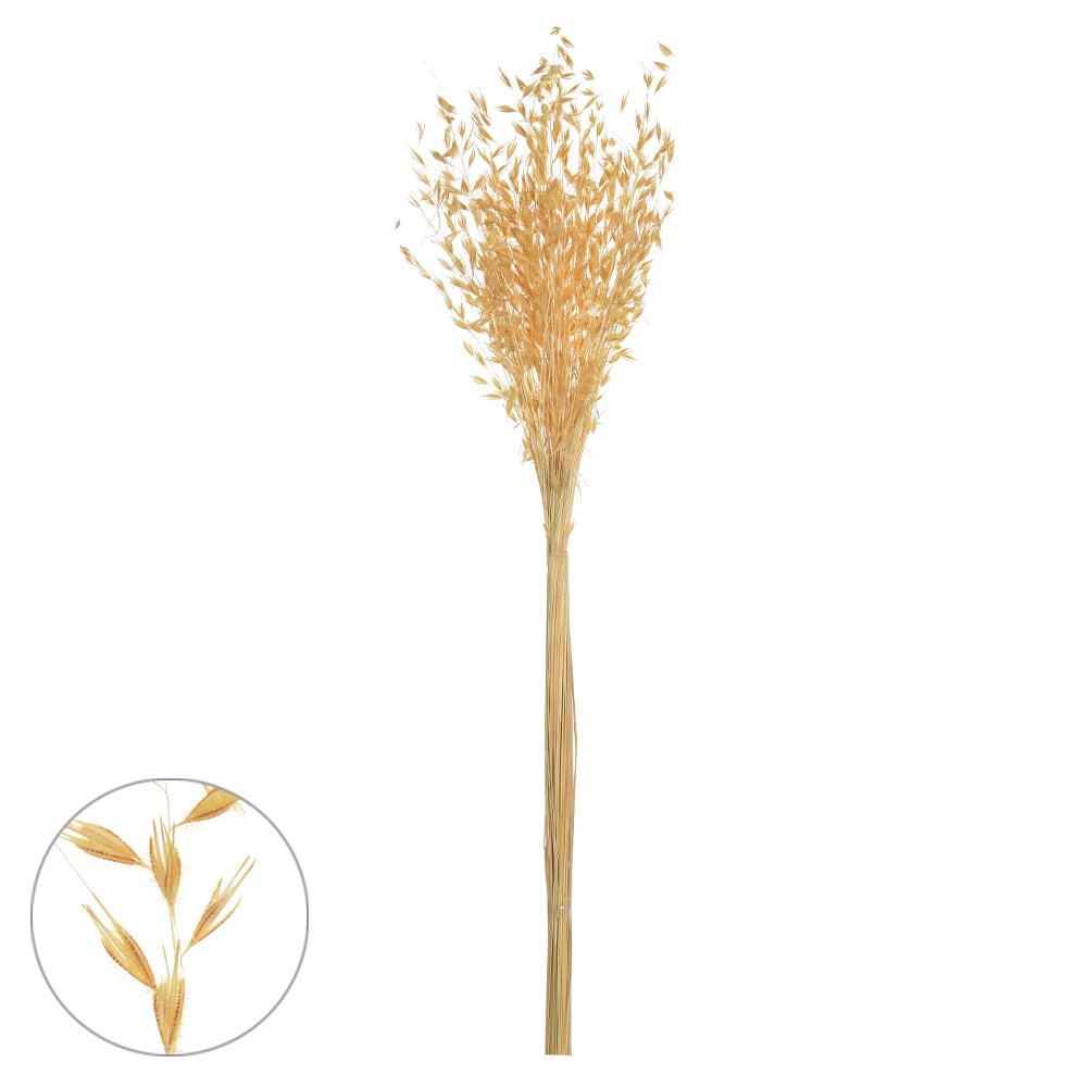 CAPIM BRINCO DESIDRATADO (ALVEJADO) 80CM