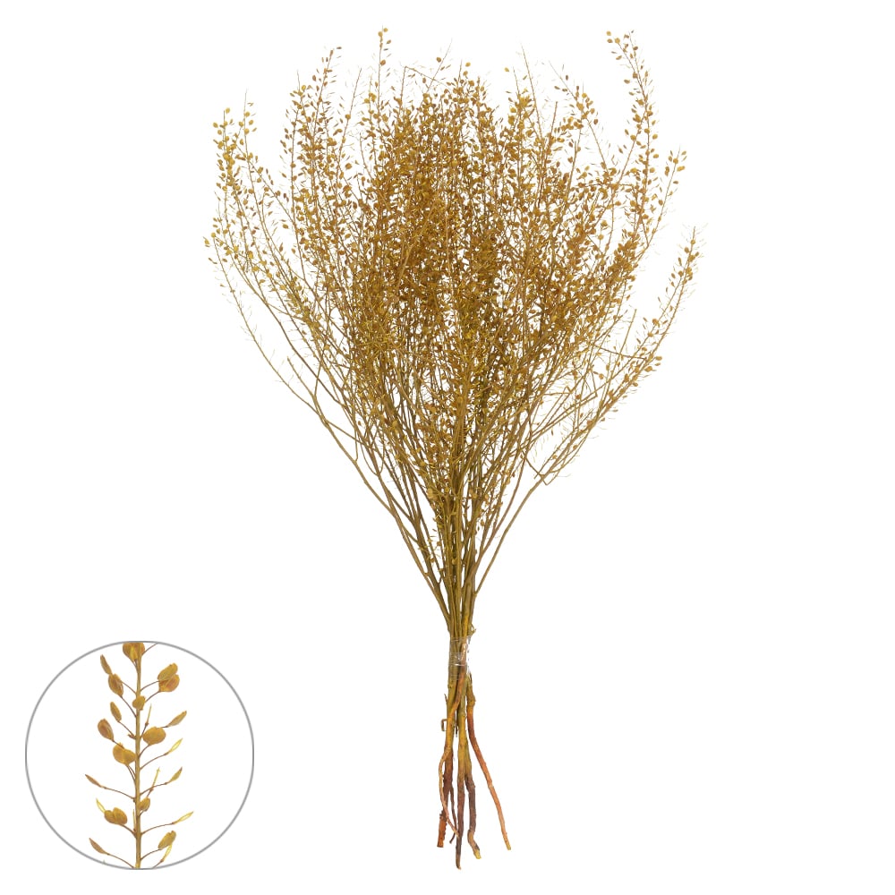 SEMENTINHA DESIDRATADO (AMARELO DOURADO) 40CM