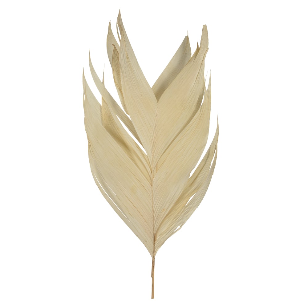 GUARICANA DESIDRATADO C/ 3 HASTES (ALVEJADO) 80CM