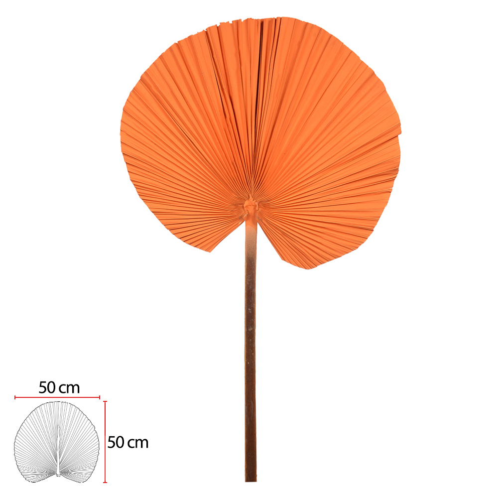 LATANEA DESIDRATADO (LARANJA) 110X50CM