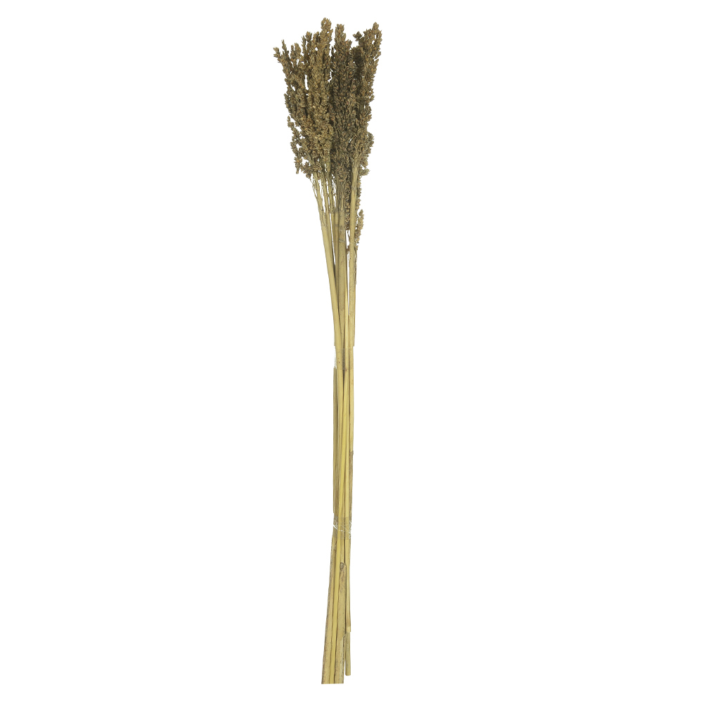 SORGO C/ 3 HASTES DESIDRATADO (NATURAL) 69CM