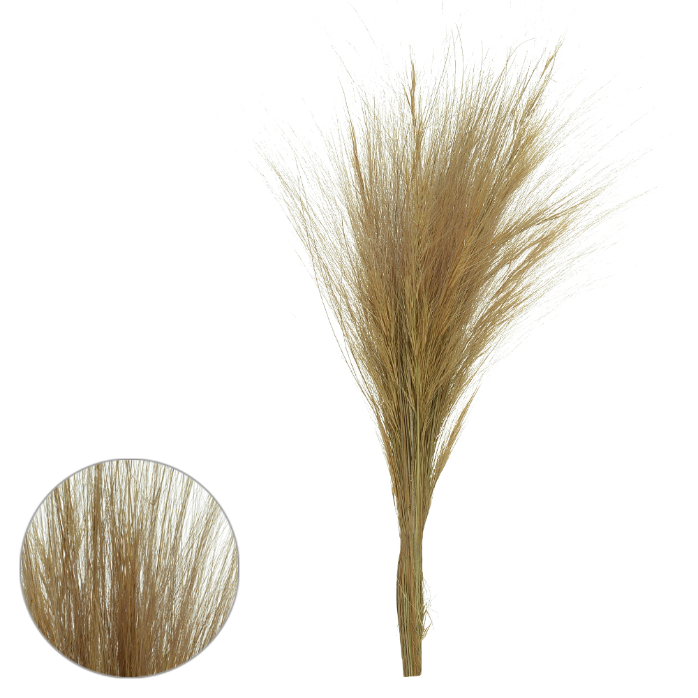 CAPIM BARBA DESIDRATADO (NATURAL) 70CM