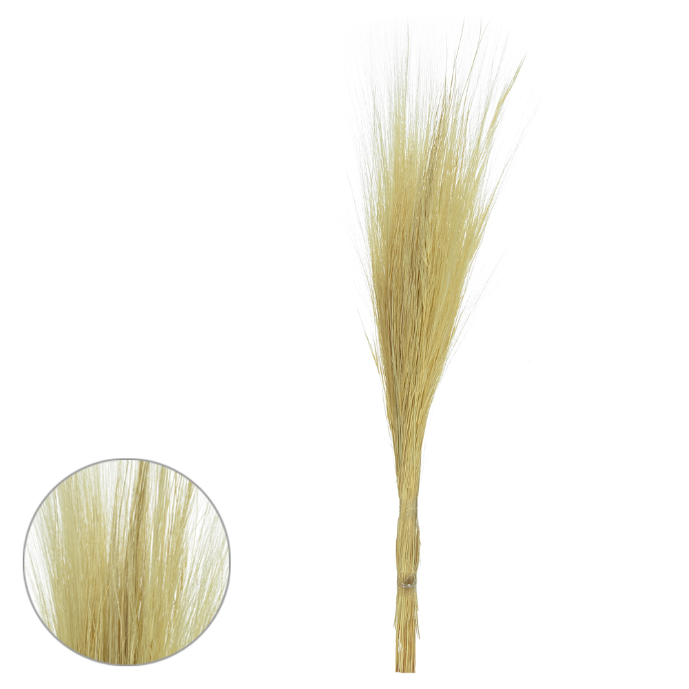 CAPIM BARBA DESIDRATADO (ALVEJADO) 70CM