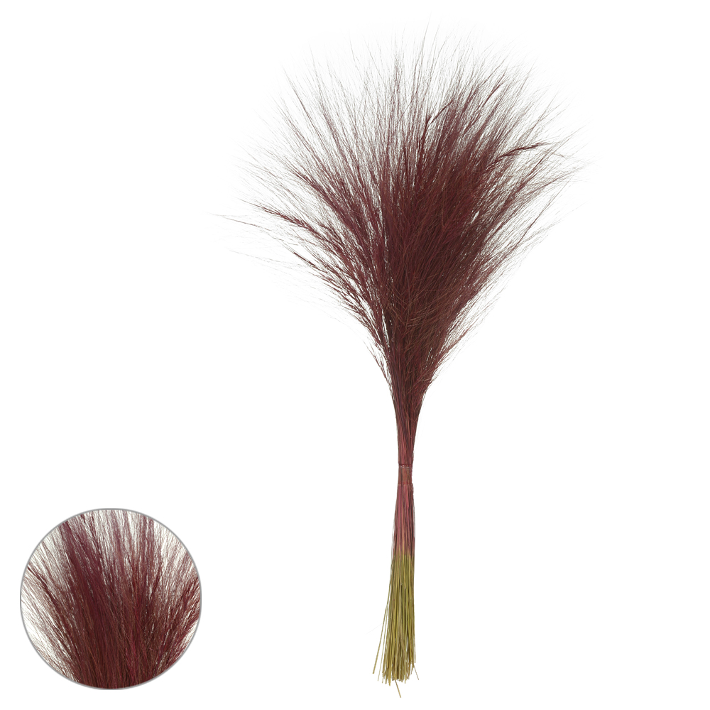 CAPIM BARBA DESIDRATADO (MARSALA) 70CM