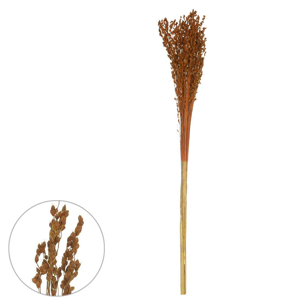 VASSOURINHA DESIDRATADO (LARANJA) 75CM