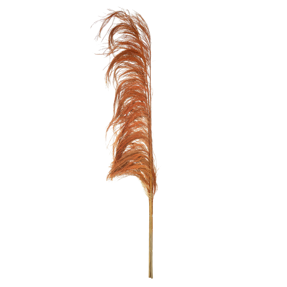 PLUMA PENDAO CANABRAVA C/3 HASTES DESIDRATADO (LARANJA) 150CM