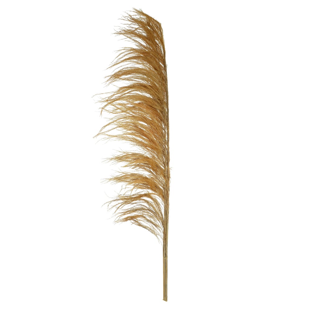 PLUMA PENDAO CANABRAVA C/3 HASTES DESIDRATADO (OCRE) 150CM