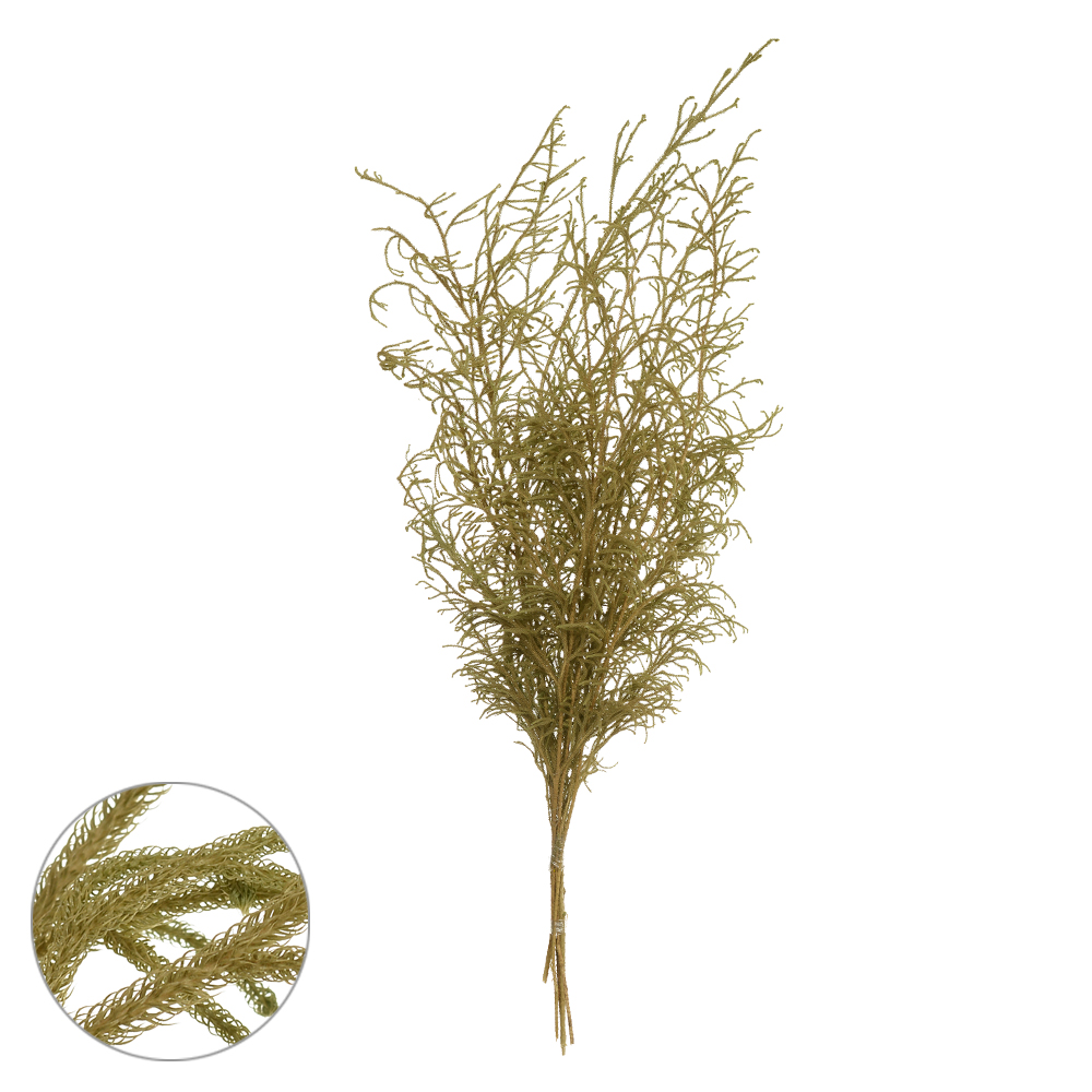 CAPIM PE DE SAPO DESIDRATADO (NATURAL) 85CM