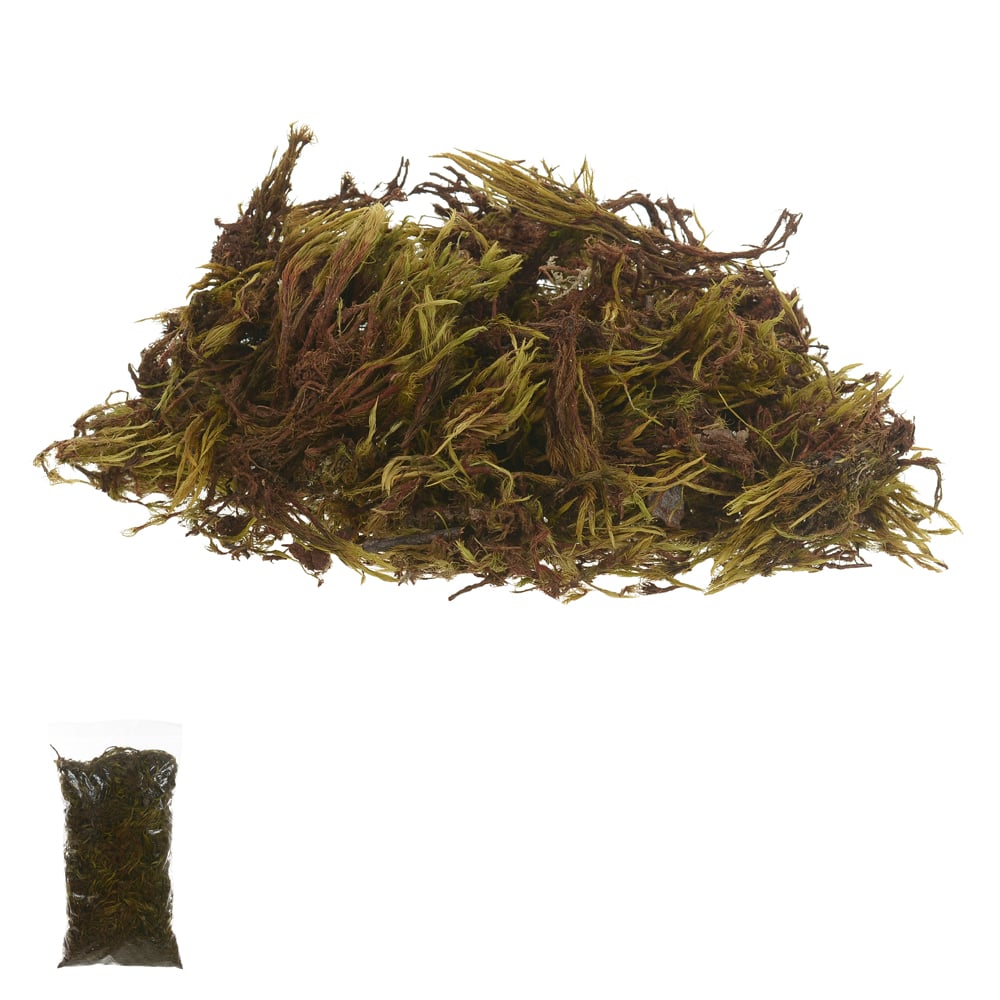 MUSGO VERDE 50G (NATURAL)