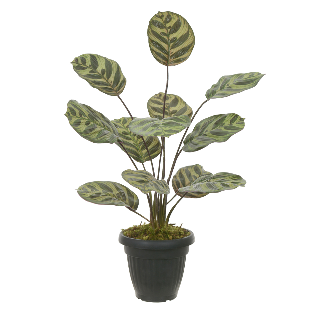 ARRANJO FOLHAGEM SORTIDA (VERDE) 58CM