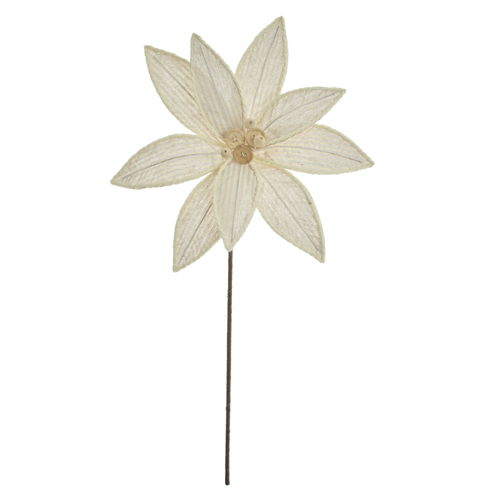 H.BICO PAPAGAIO (BEGE) 50cm