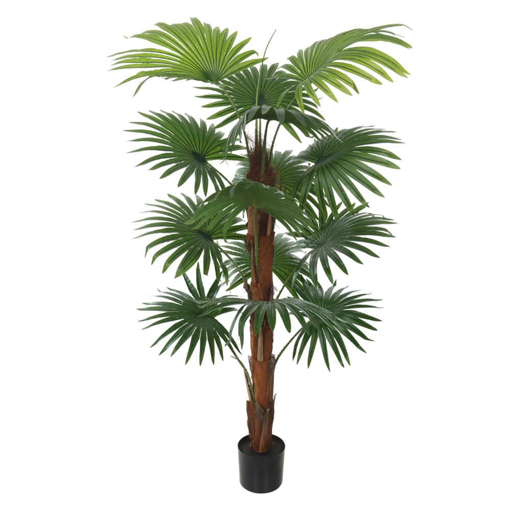 A.PALMEIRA LEQUE C/POTE X14 (VERDE) 1,5m