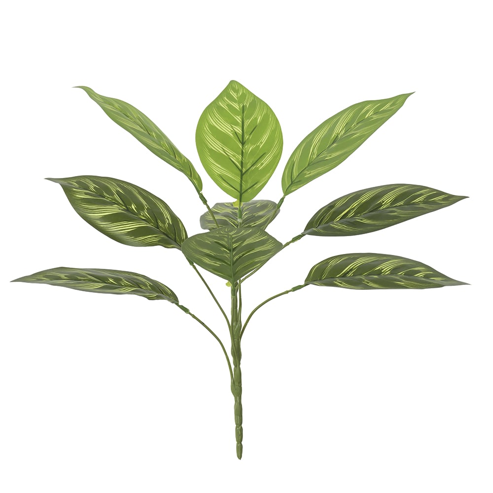 F.CALATHEA FORRACAO REAL TOQUE X9 (VERDE) 40cm