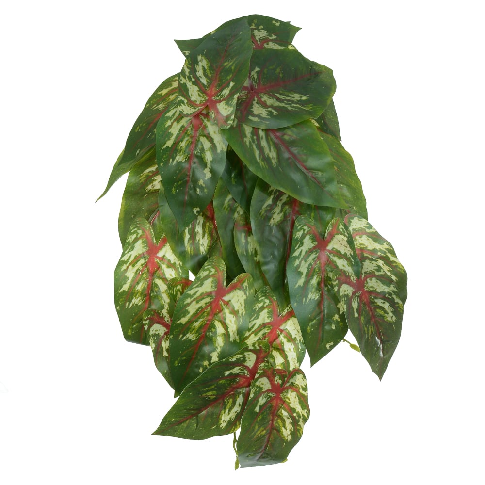 F.CALADIUM PENDURAR X29 (VERDE VERMELHO) 45cm