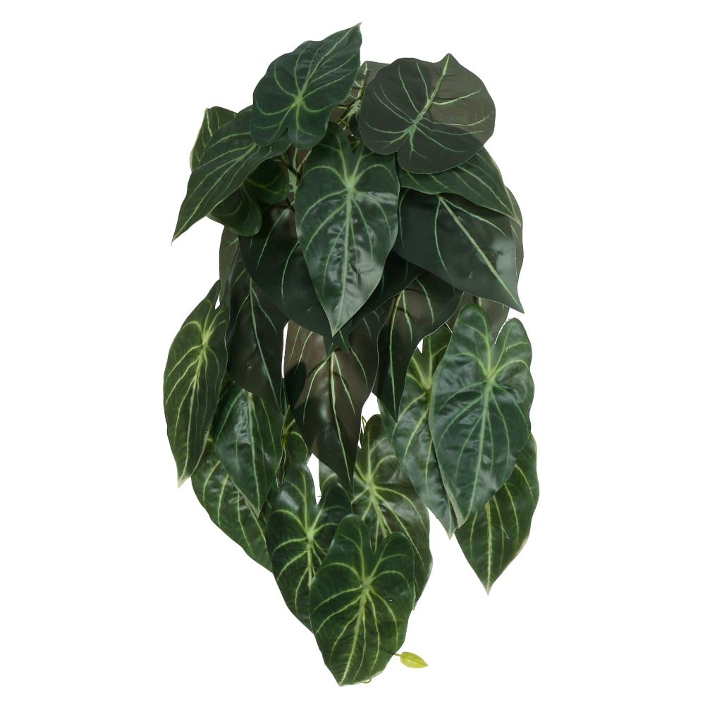 F.CALADIUM PENDURAR X29 (VERDE CREME) 45cm