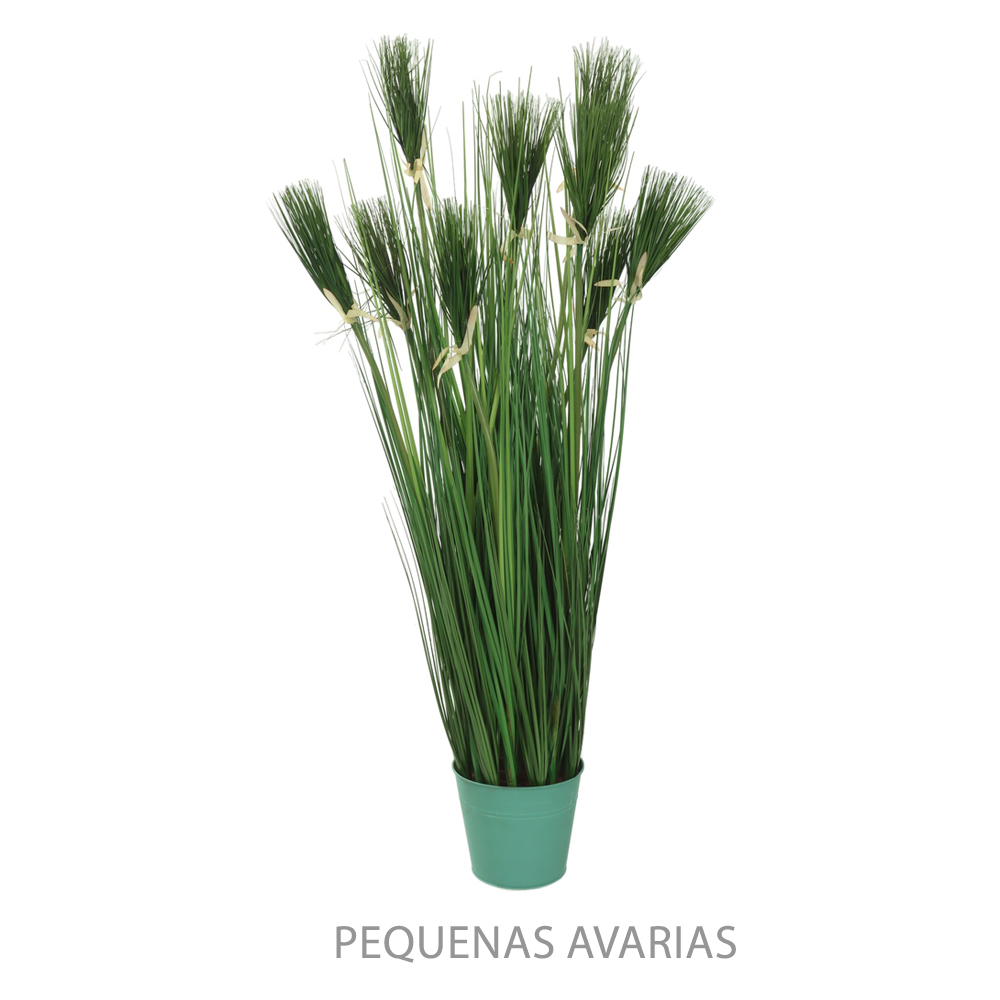F.GRASS PAPIRO C/PRINT C/POTE X9 (VERDE) 1,23m