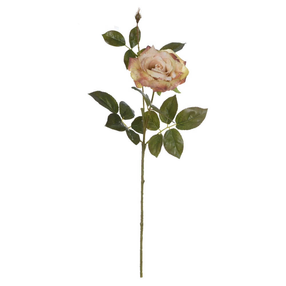 H.ROSA (CHA OUTONO) 66cm