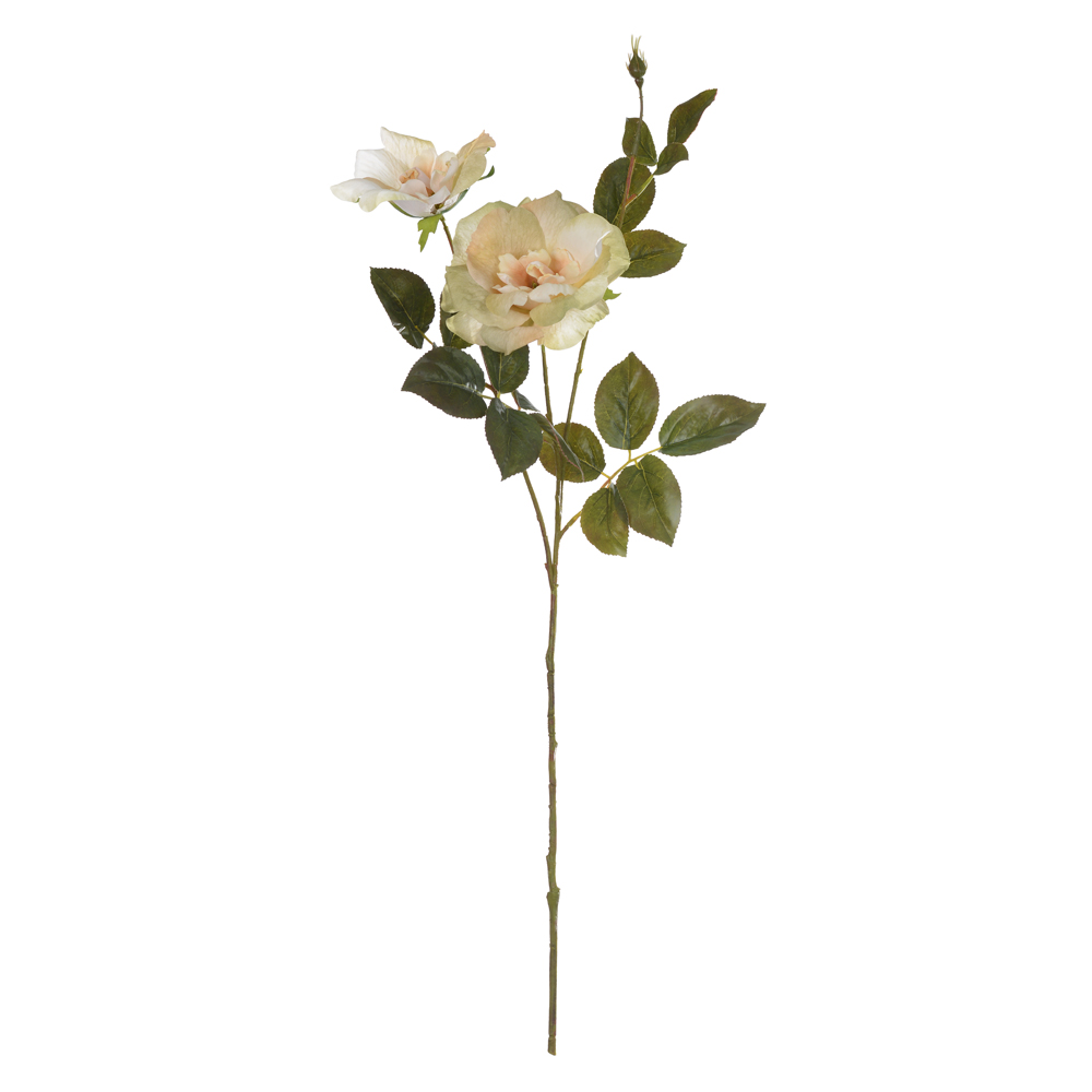 H.ROSA X2 (CREME OUTONO) 80cm