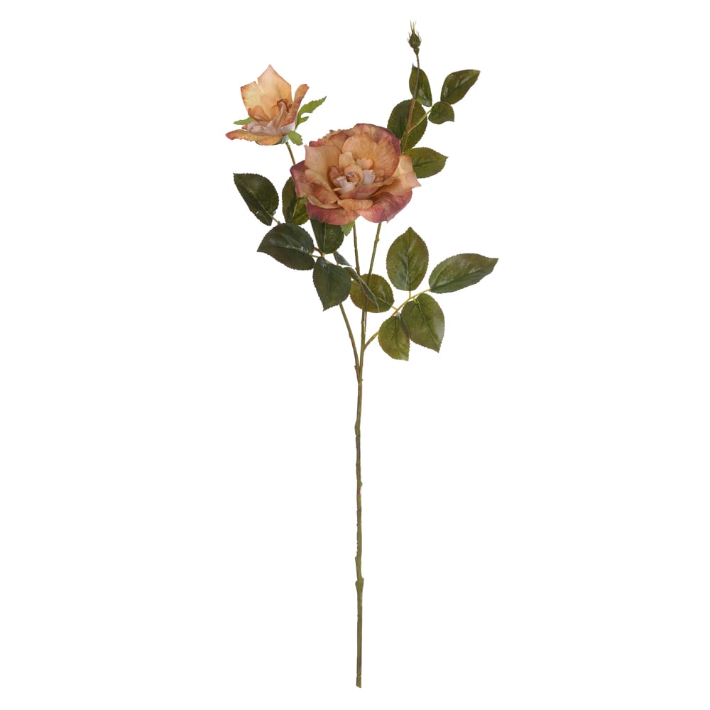 H.ROSA X2 (OCRE OUTONO) 80cm