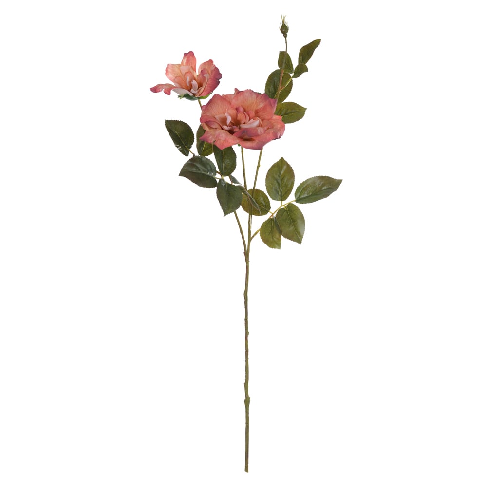 H.ROSA X2 (PESSEGO OUTONO) 80cm