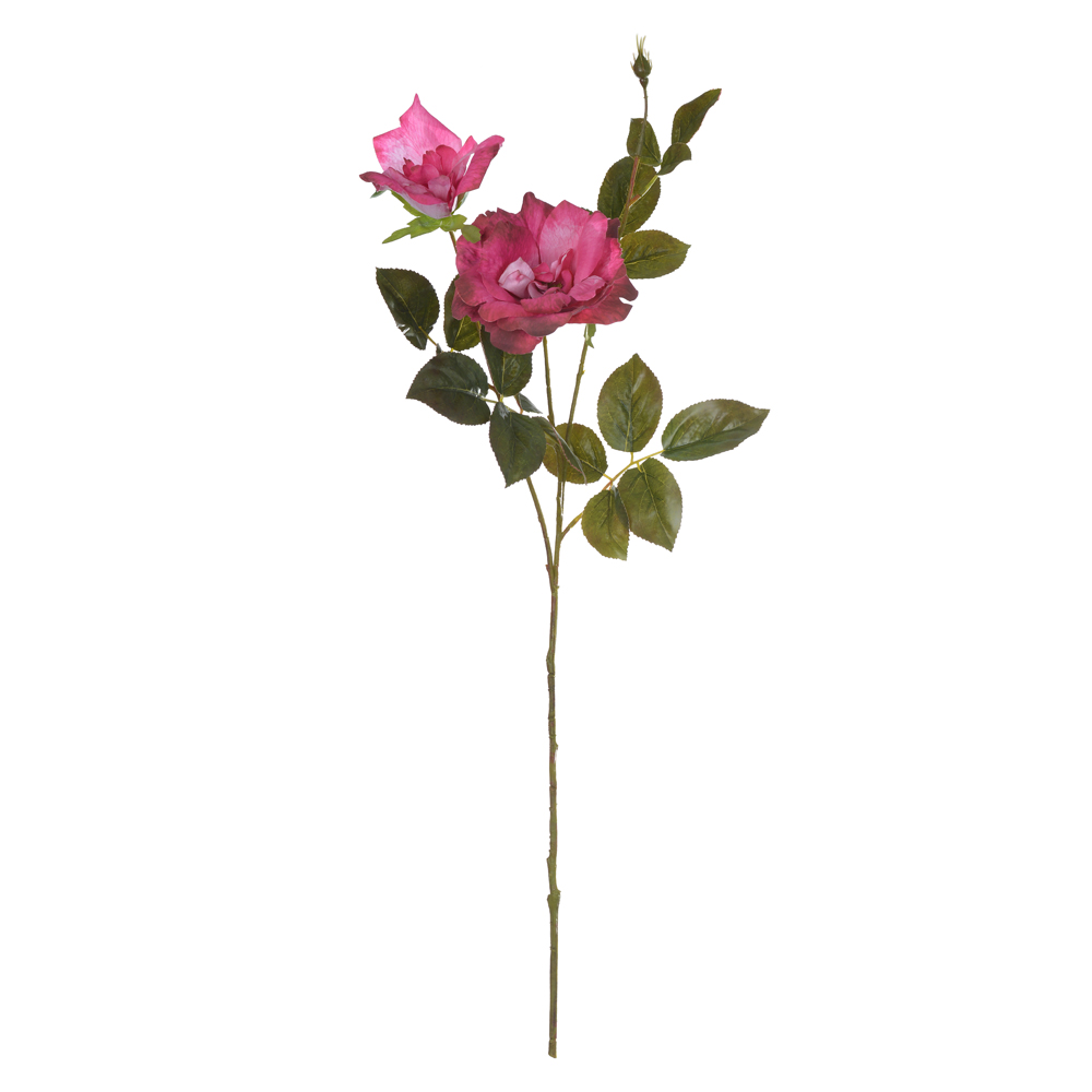 H.ROSA X2 (FUCSIA OUTONO) 80cm
