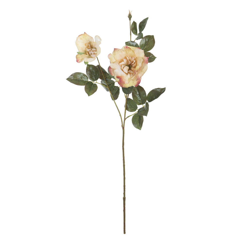 H.ROSA X2 (CHA OUTONO) 80cm