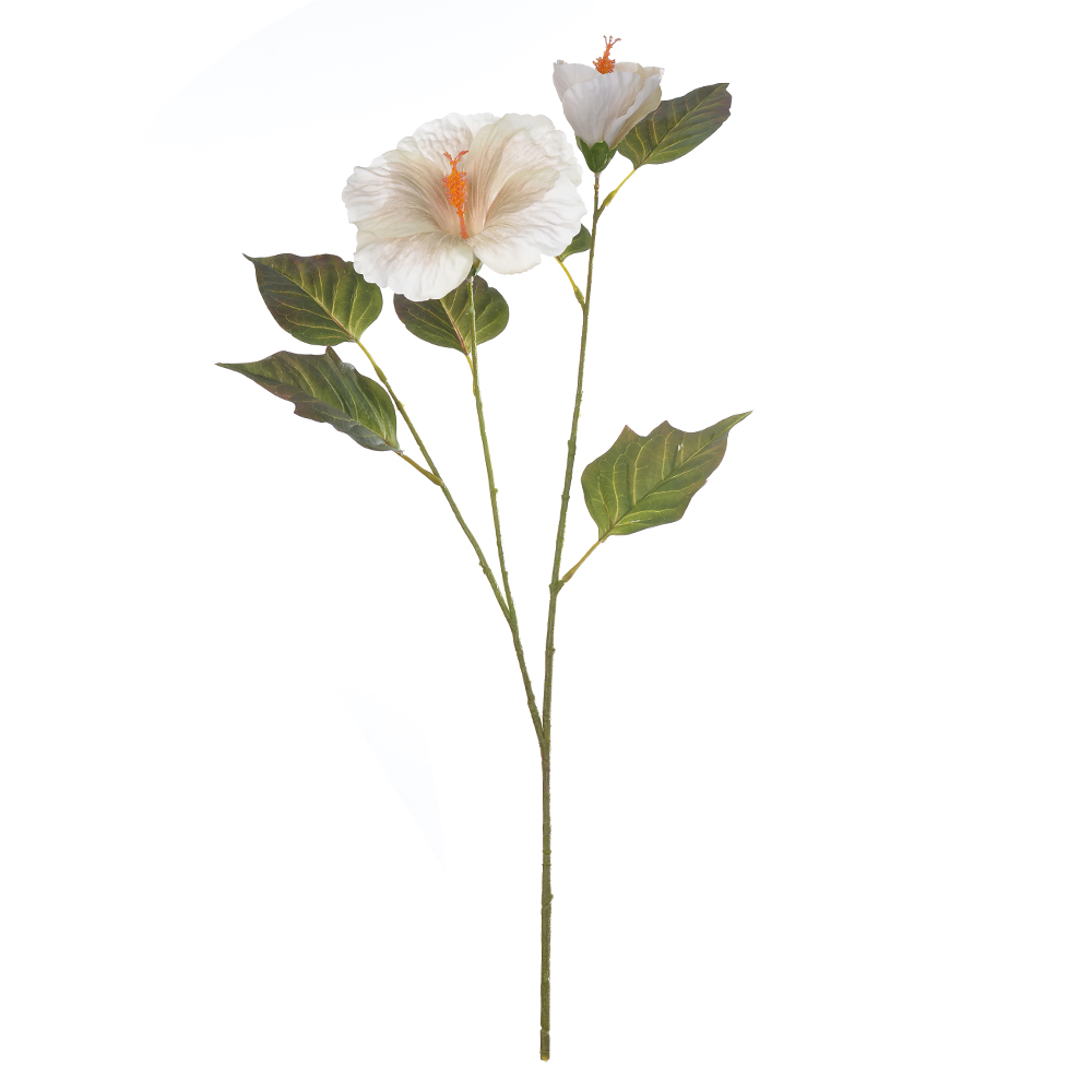 H.PAPOULA REAL TOQUE X2 (CREME OUTONO) 66cm