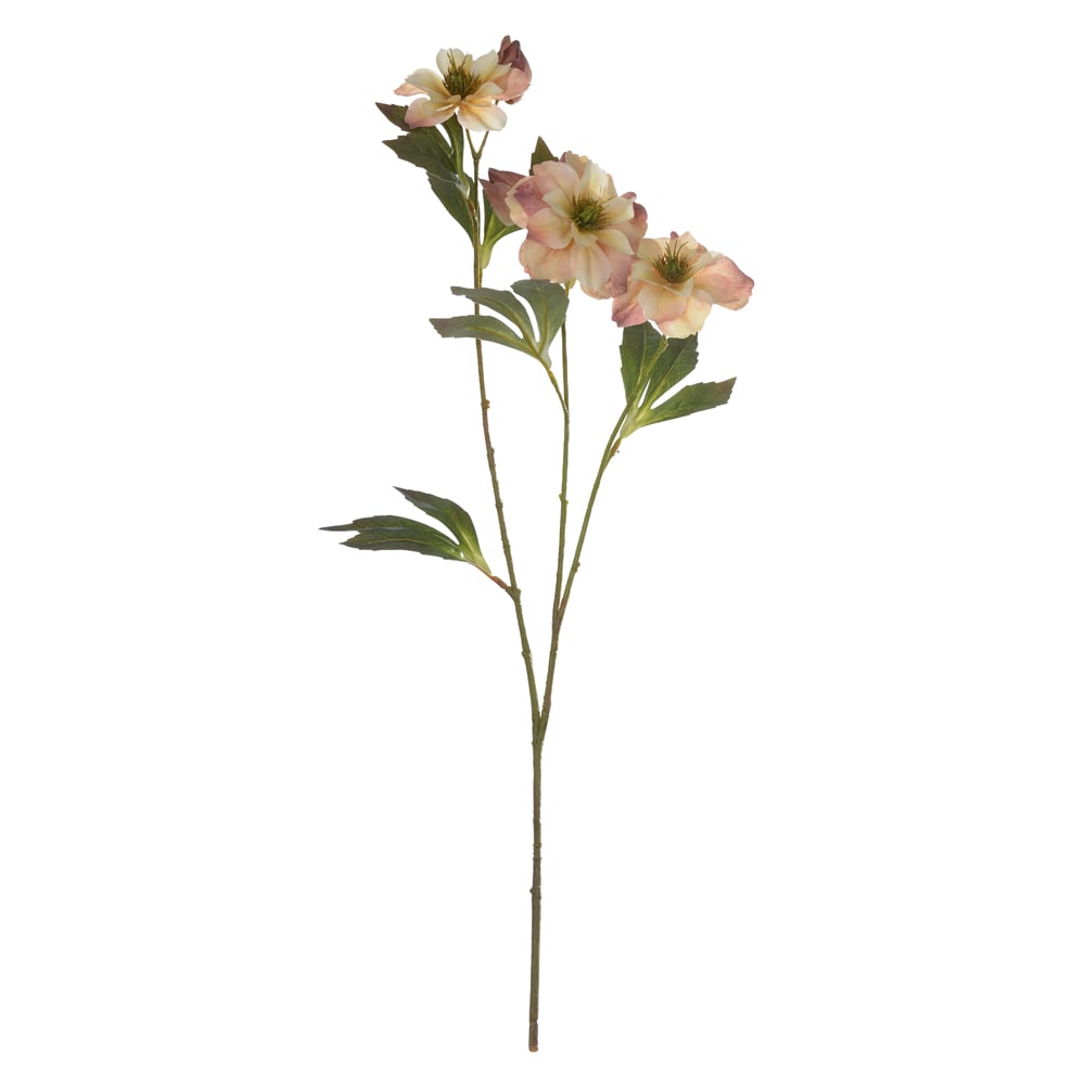 H.HELEBOROS REAL TOQUE X3 (CHA OUTONO) 65cm