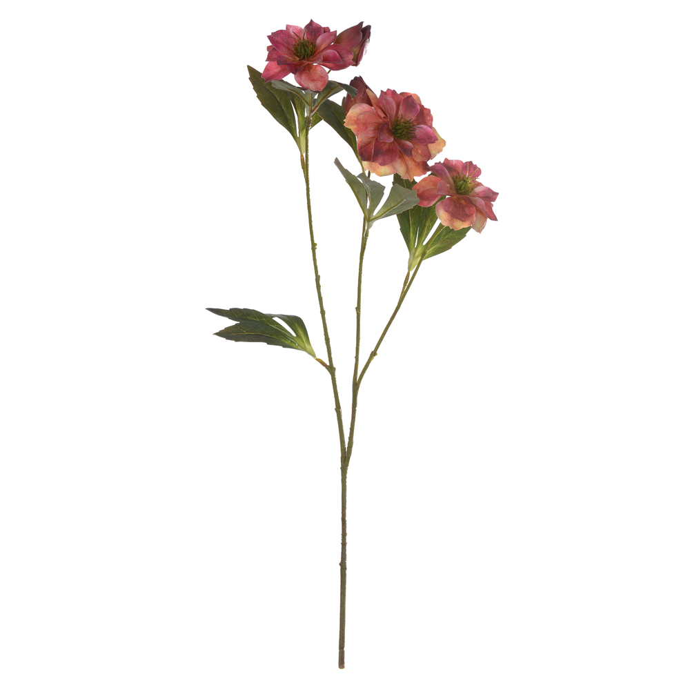 H.HELEBOROS REAL TOQUE X3 (BEAUTY OUTONO) 65cm