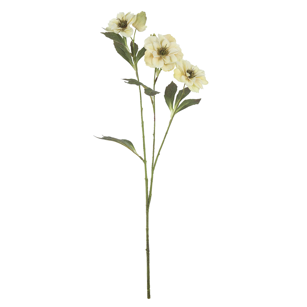 H.HELEBOROS REAL TOQUE X3 (CREME OUTONO) 65cm