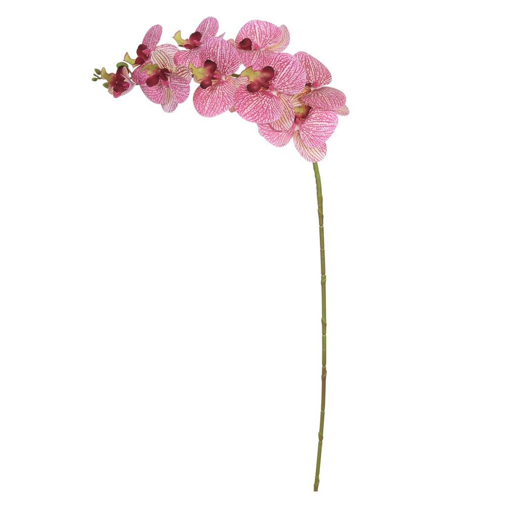 H.ORQUIDEA PHALAENOPSIS REAL TOQUE X9 (CREME ROSA) 95cm