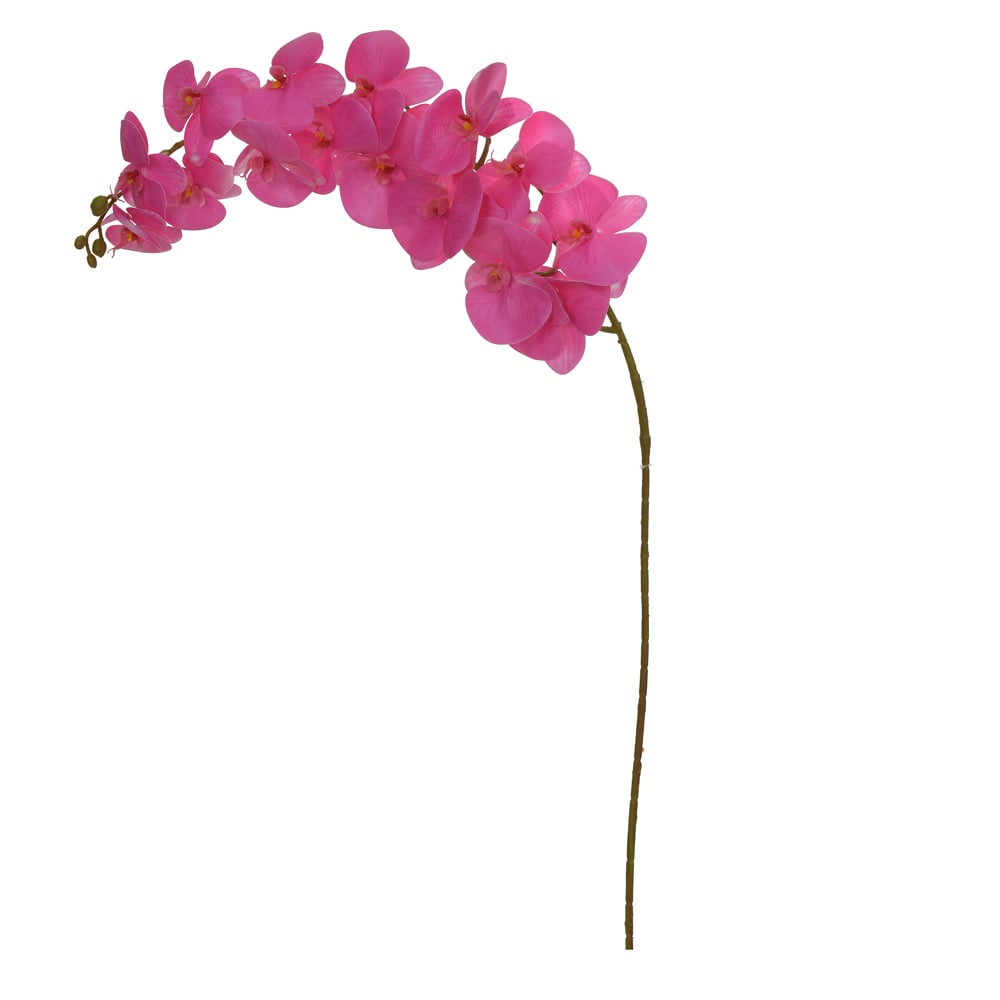 H.ORQUIDEA PHALAENOPSIS REAL TOQUE C/COAT X15 (FUCSIA) 1,15m