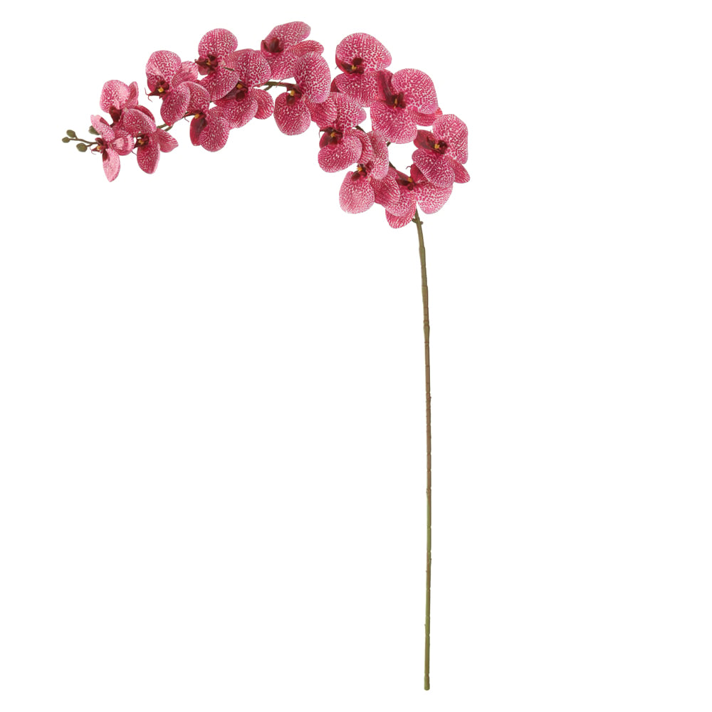 H.ORQUIDEA PHALAENOPSIS REAL TOQUE C/COAT X15 (BEAUTY) 1,15m
