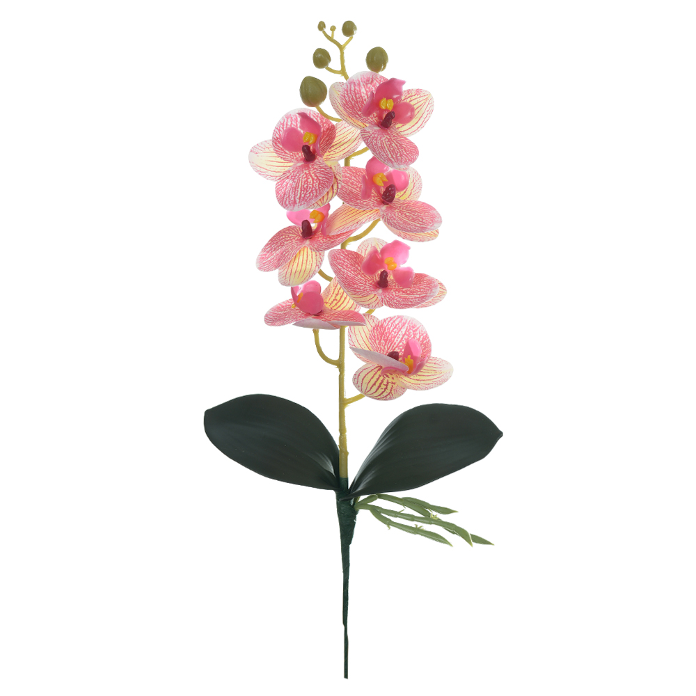H.ORQUIDEA PHALAENOPSIS REAL TOQUE C/FOLHA X7 (CREME ROSA) 40cm