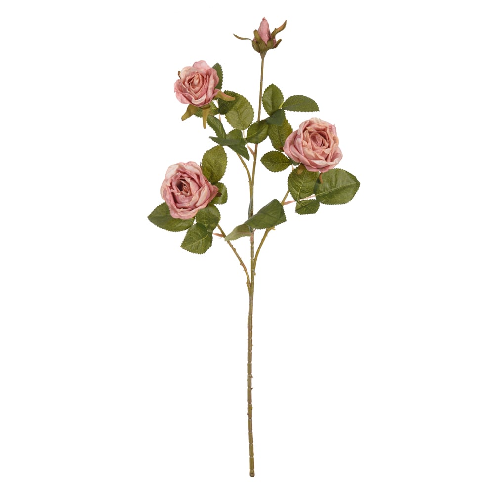 H.ROSA X4 (ROSA ANTIGO OUTONO) 70cm