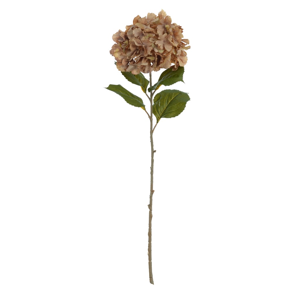 H.HORTENSIA X77 (CHA OUTONO) 84cm