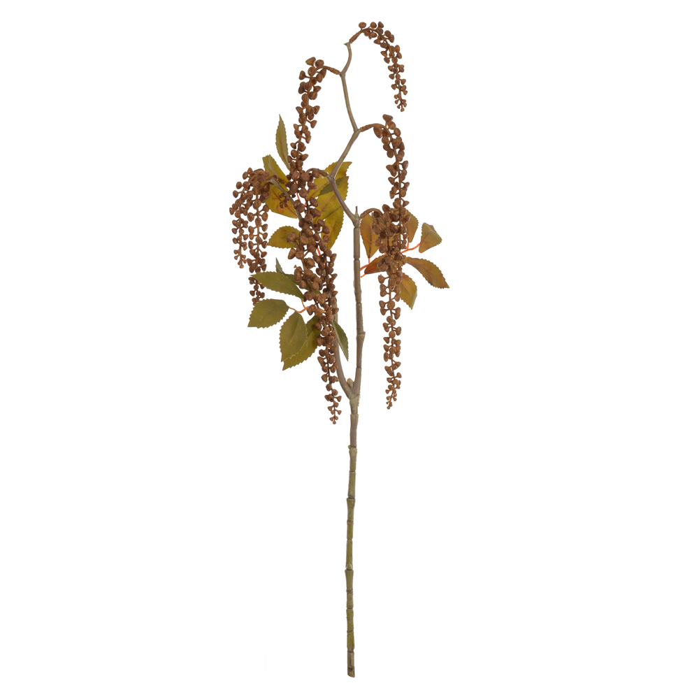C.GALHO SEMENTES X8 (CHA OUTONO) 75cm