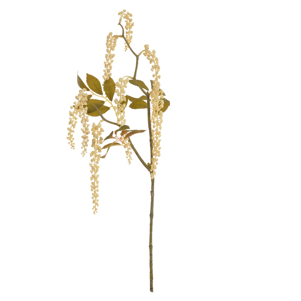 C.GALHO SEMENTES X8 (CREME OUTONO) 75cm