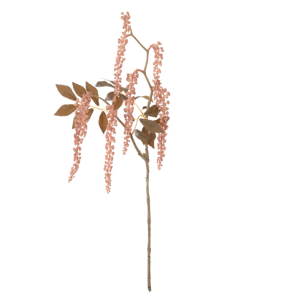 C.GALHO SEMENTES X8 (ROSA OUTONO) 75cm