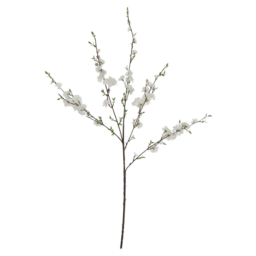 H.FLOR CEREJEIRA X34 (CREME) 1,13m