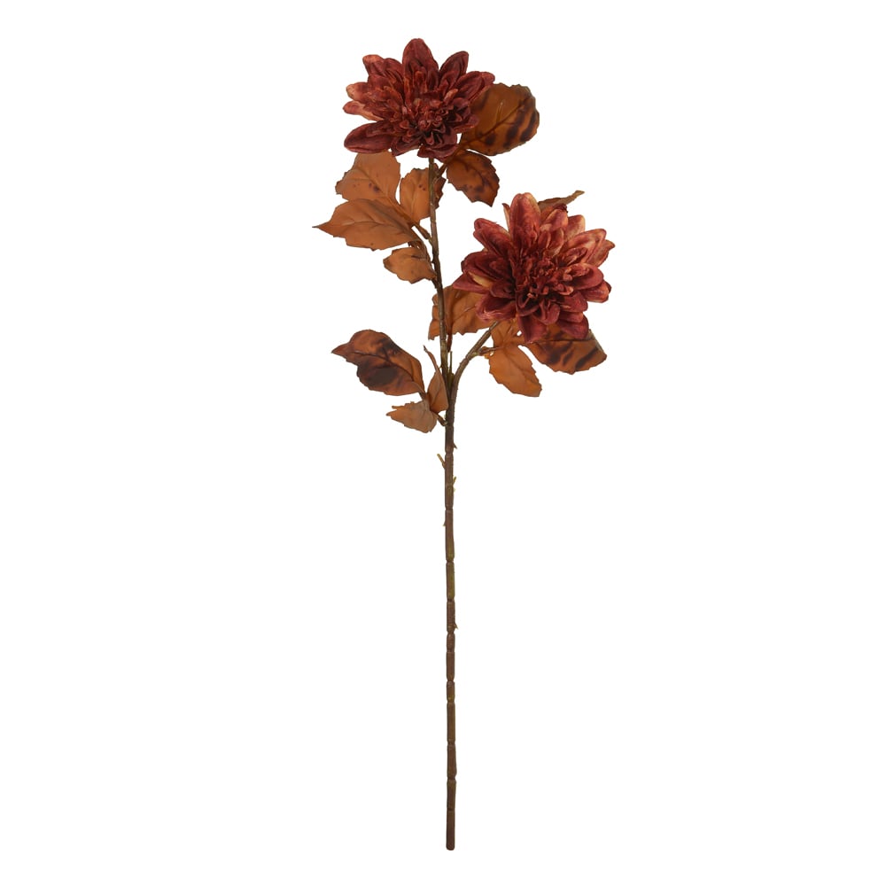 H.DALIA X2 (OCRE OUTONO) 74cm