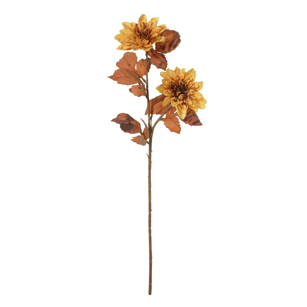 H.DALIA X2 (LARANJA ANTIGO OUTONO) 74cm